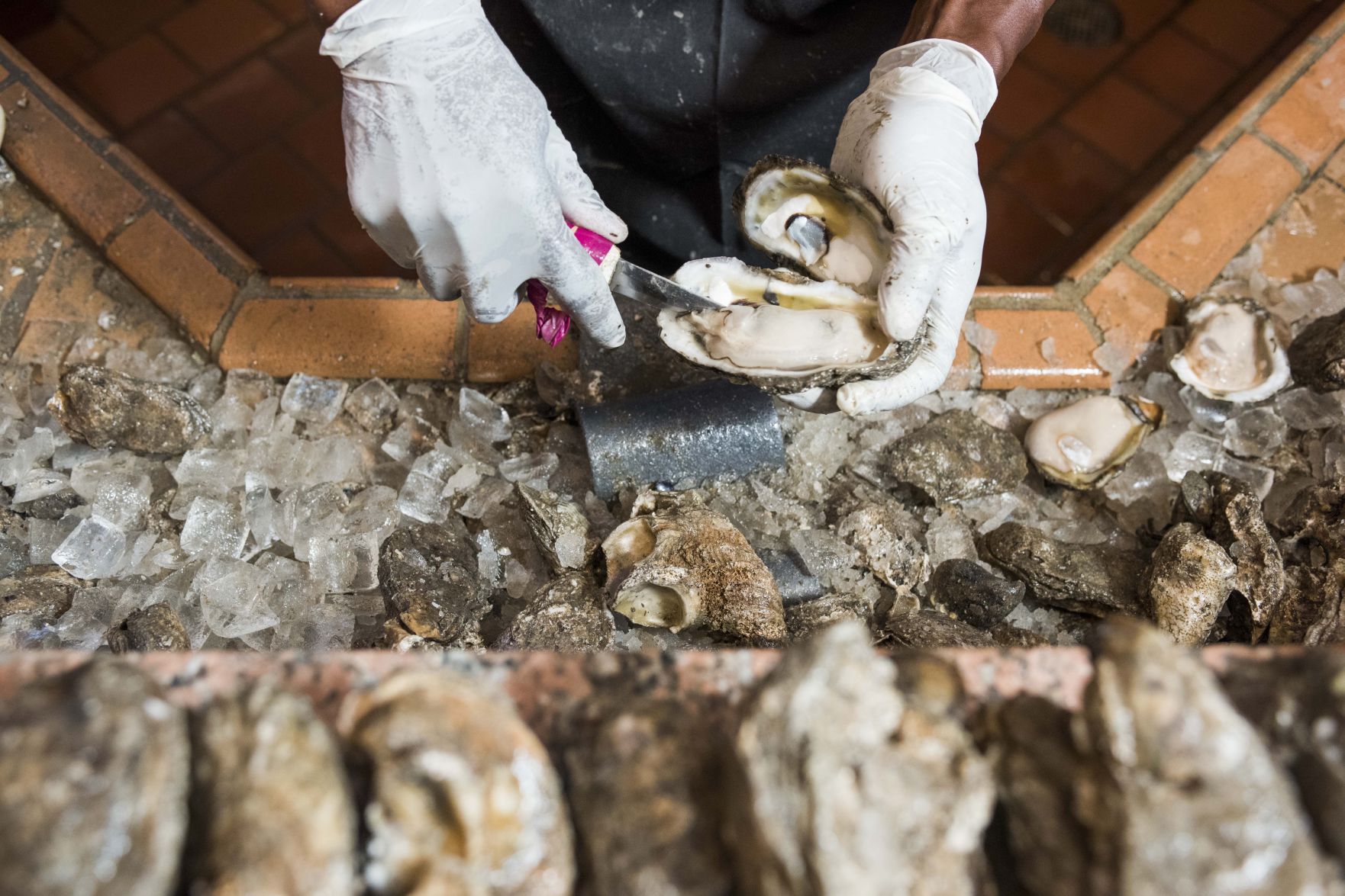NO.oysterbars.epl.112917adv001.jpg